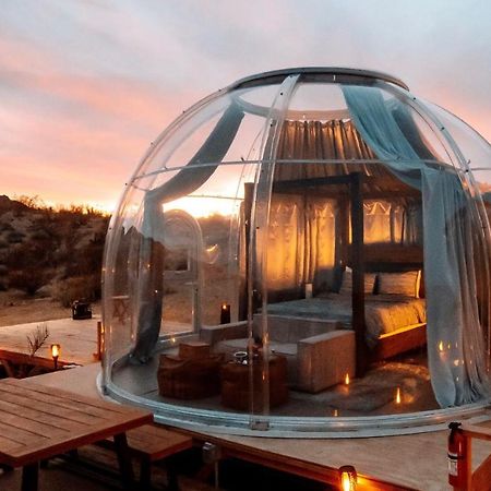 Jthavn-Joshua Tree Remote Dessert Bubble Dome Eksteriør bilde