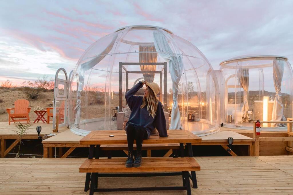 Jthavn-Joshua Tree Remote Dessert Bubble Dome Eksteriør bilde