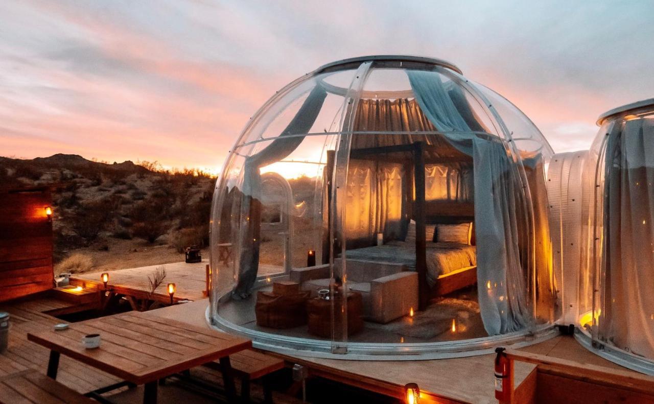 Jthavn-Joshua Tree Remote Dessert Bubble Dome Eksteriør bilde