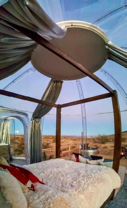 Jthavn-Joshua Tree Remote Dessert Bubble Dome Eksteriør bilde