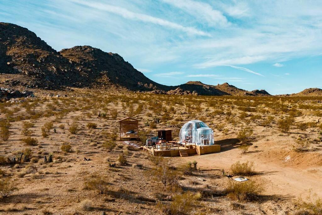Jthavn-Joshua Tree Remote Dessert Bubble Dome Eksteriør bilde