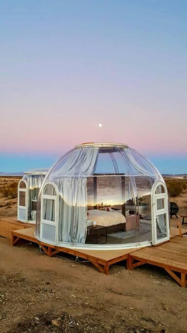 Jthavn-Joshua Tree Remote Dessert Bubble Dome Eksteriør bilde