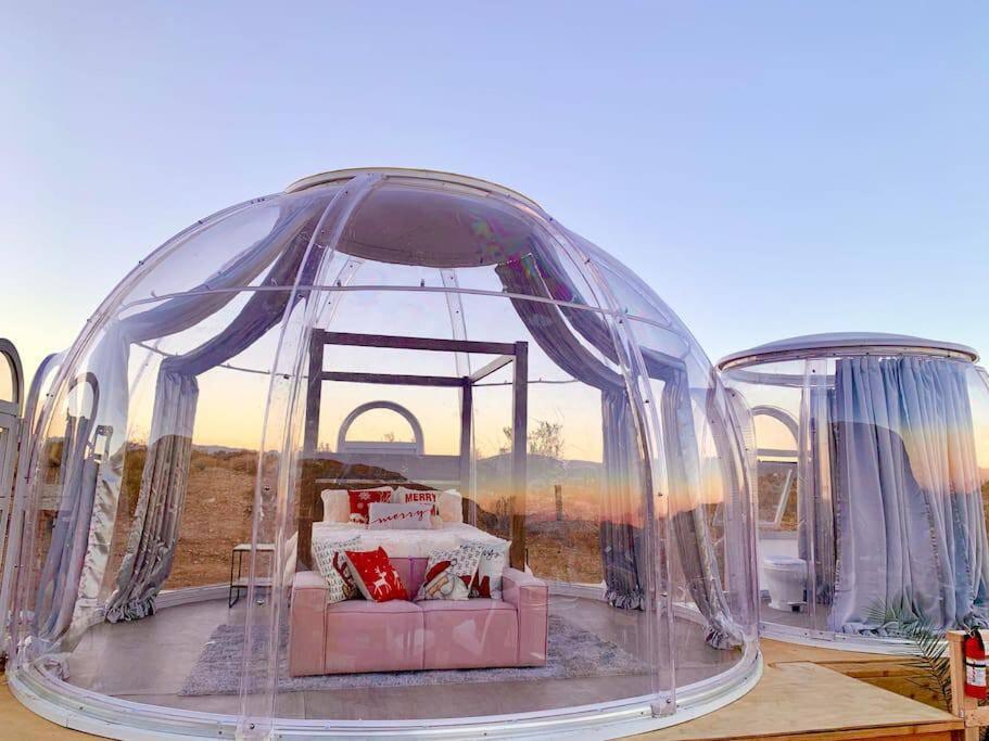 Jthavn-Joshua Tree Remote Dessert Bubble Dome Eksteriør bilde