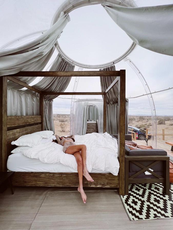 Jthavn-Joshua Tree Remote Dessert Bubble Dome Eksteriør bilde